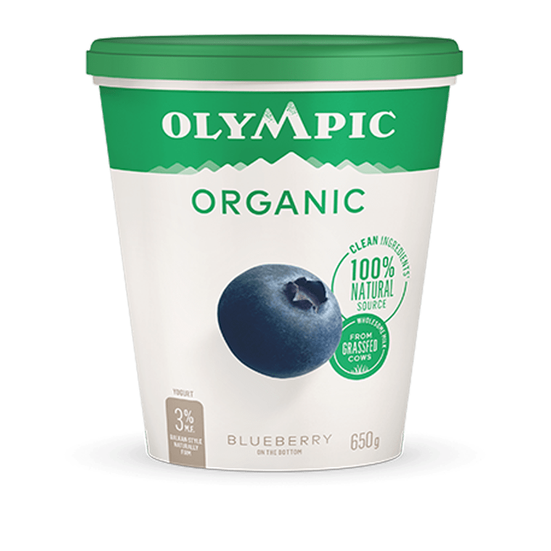 Organic blueberry yogurt
