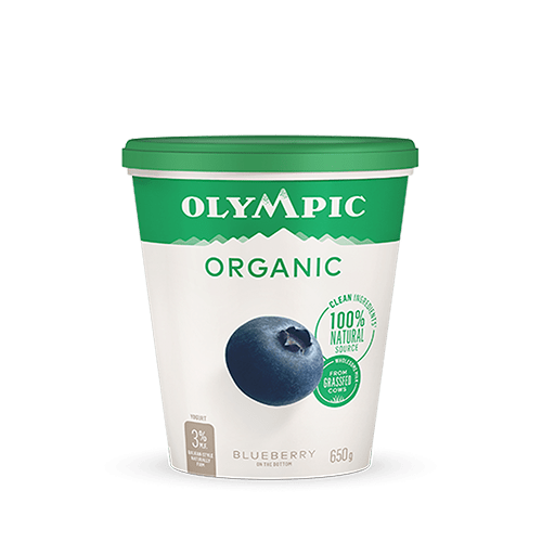 Organic blueberry yogurt